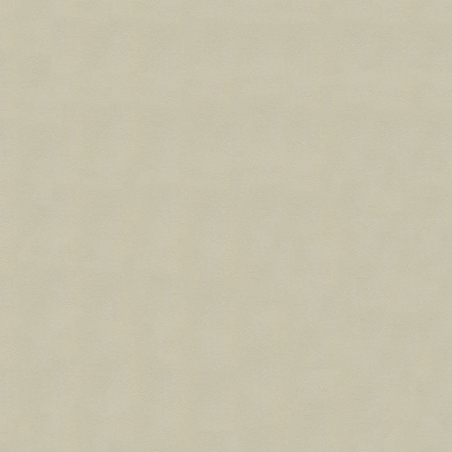 54" Enduratex™ Windsong Vanilla Cream (753) Vinyl Fabric Image 1