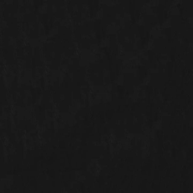 54" General Black (007) Vinyl Fabric Image 1