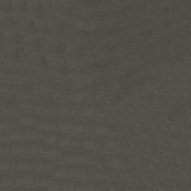 54" Inevitable Otter (94) Upholstery Fabric Image 1