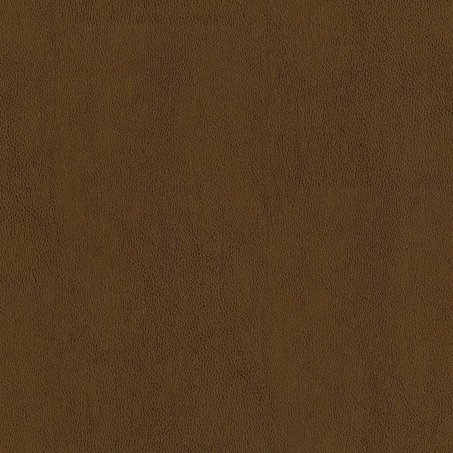 54" Intrepid Amber (804) Vinyl Fabric Image 1