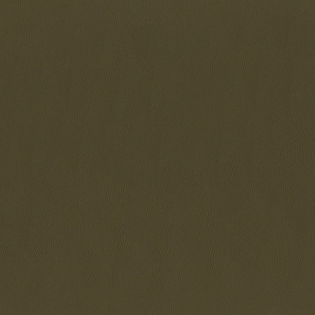 54" Intrepid Bark (805) Vinyl Fabric Image 1