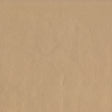 54" Intrepid Champagne (102) Vinyl Fabric Image 1