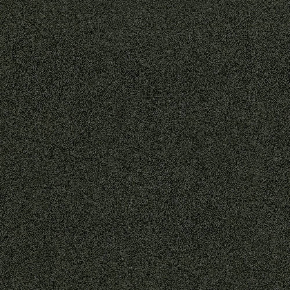 54" Intrepid Charcoal (098) Vinyl Fabric Image 1