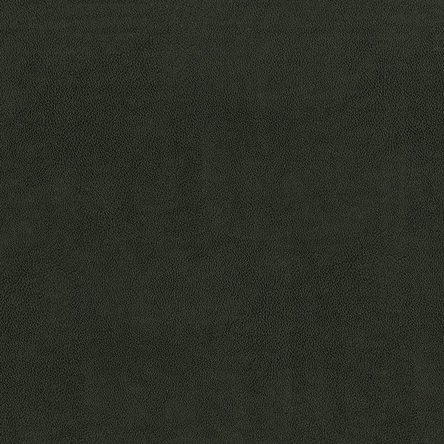 54" Intrepid Charcoal (098) Vinyl Fabric Image 1