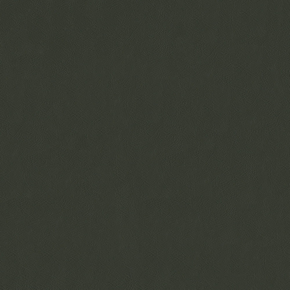 54" Intrepid Chinchilla (908) Vinyl Fabric Image 1