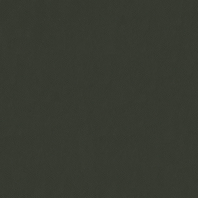 54" Intrepid Chinchilla (908) Vinyl Fabric Image 1