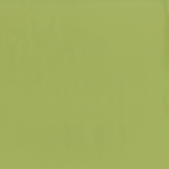 54" Intrepid Meadow (021) Vinyl Fabric Image 1