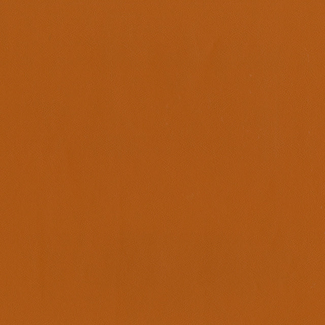 54" Intrepid Pumpkin Spice (044) Vinyl Fabric Image 1