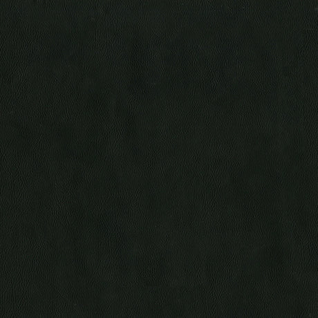 54" Intrepid Raven (909) Vinyl Fabric Image 1