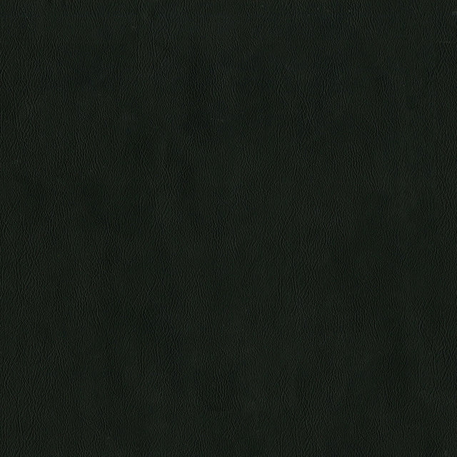 54" Intrepid Raven (909) Vinyl Fabric Image 1
