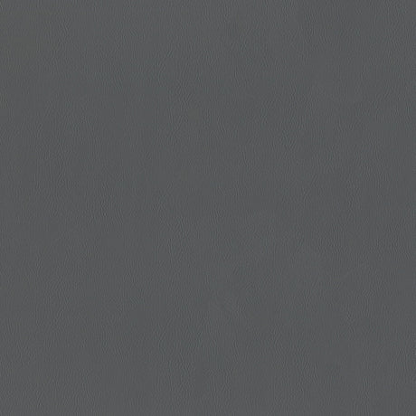 54" Intrepid Slate (097) Vinyl Fabric Image 1