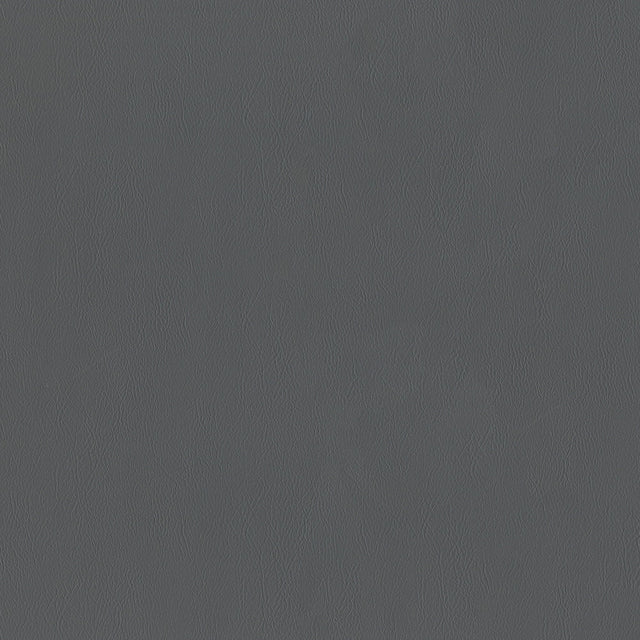 54" Intrepid Slate (097) Vinyl Fabric Image 1