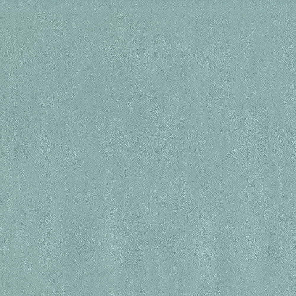 54" Intrepid Spa (034) Vinyl Fabric Image 1