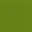 54" Intrepid Spring (205) Vinyl Fabric Image 1