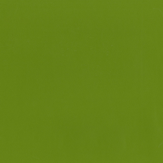 54" Intrepid Spring (205) Vinyl Fabric Image 1