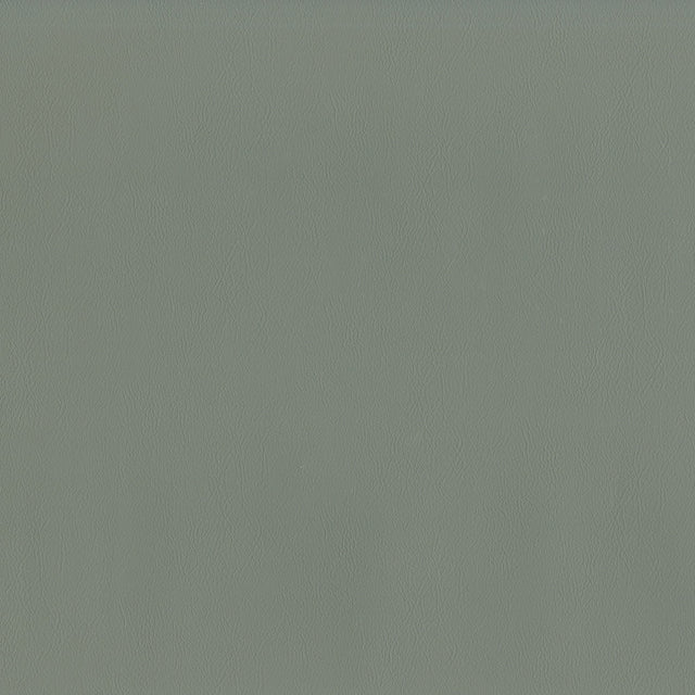 54" Intrepid Steel (905) Vinyl Fabric Image 1