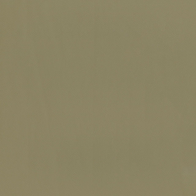 54" Intrepid Taupe (609) Vinyl Fabric Image 1