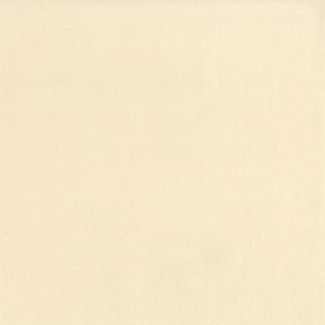 54" Intrepid Vanilla (063) Vinyl Fabric Image 1
