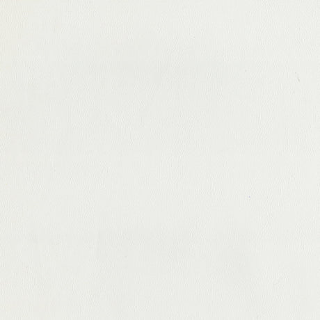 54" Intrepid White Cap (061) Vinyl Fabric Image 1
