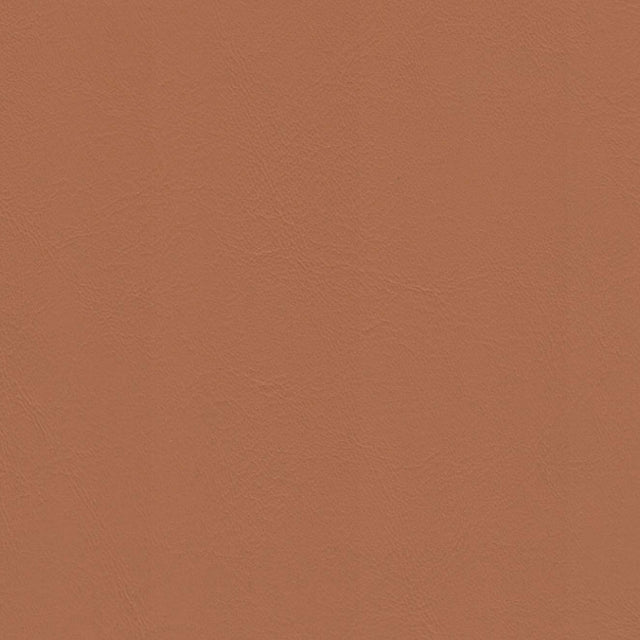 54" Morbern™ Allante Butterscotch (902) Vinyl Fabric Image 1