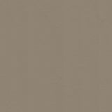 54" Morbern™ Allante Lt. Neutral (862) Vinyl Fabric Image 1