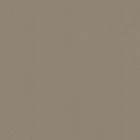 54" Morbern™ Allante Lt. Neutral (862) Vinyl Fabric Image 1