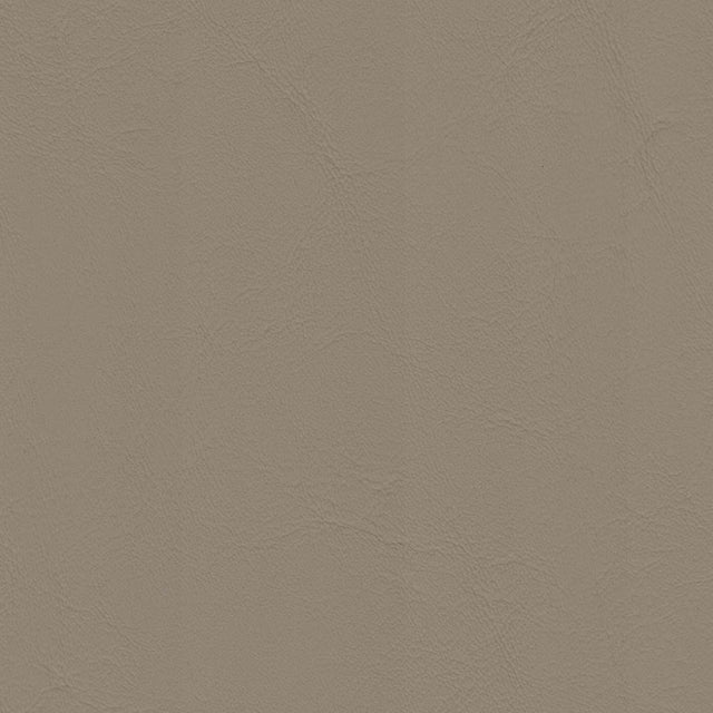 54" Morbern™ Allante Lt. Neutral (862) Vinyl Fabric Image 1