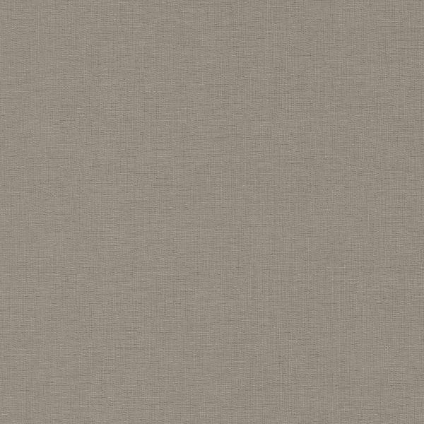 54" Morbern™ Bayside Taupe (121) Vinyl Fabric Image 1
