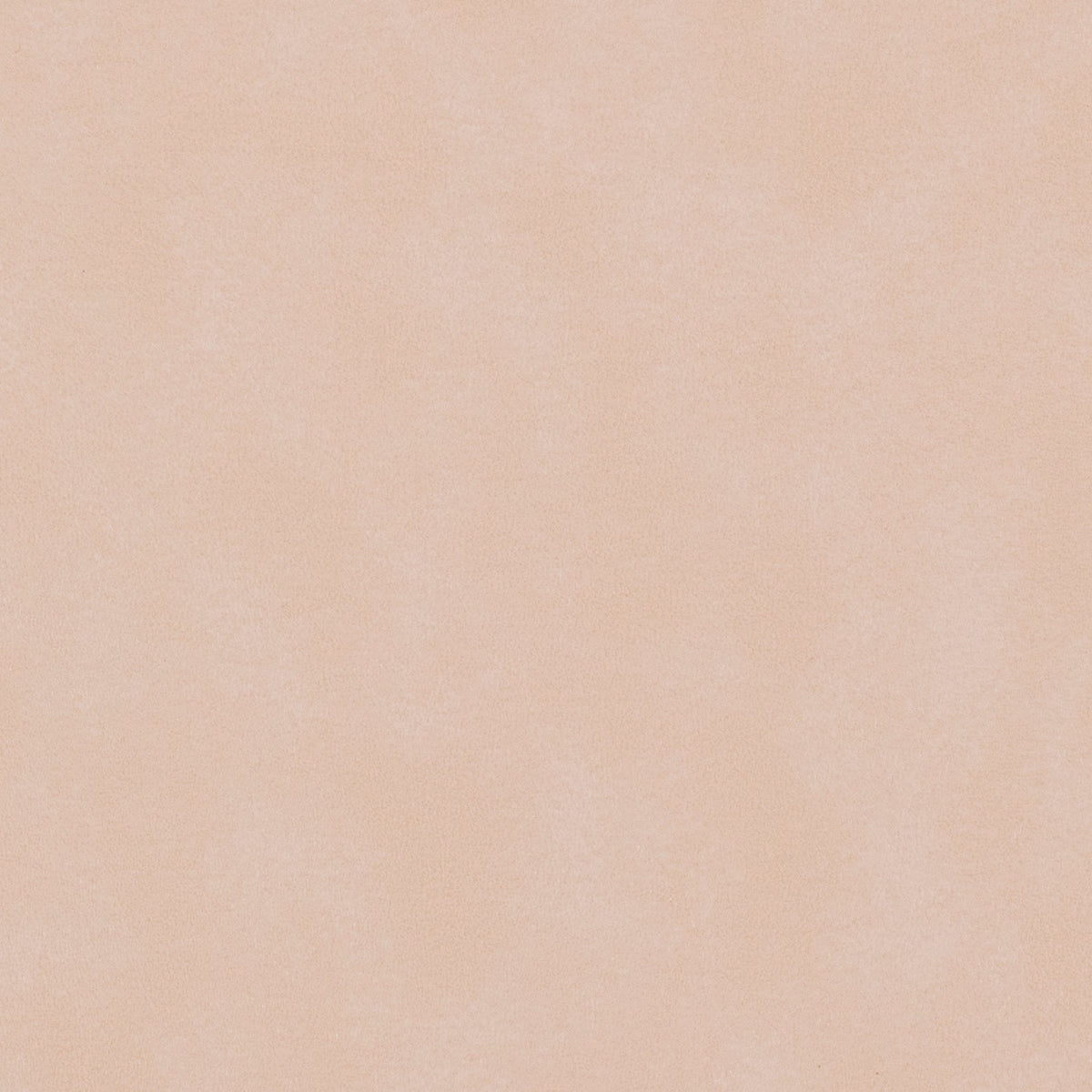 54" Morbern™ Biscayne Bone (114) Vinyl Fabric Image 1