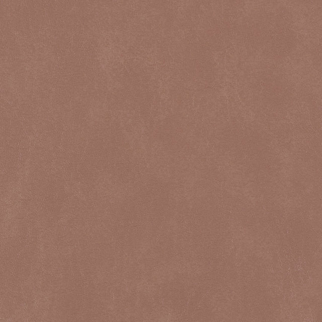 54" Morbern™ Biscayne Buck (119) Vinyl Fabric Image 1
