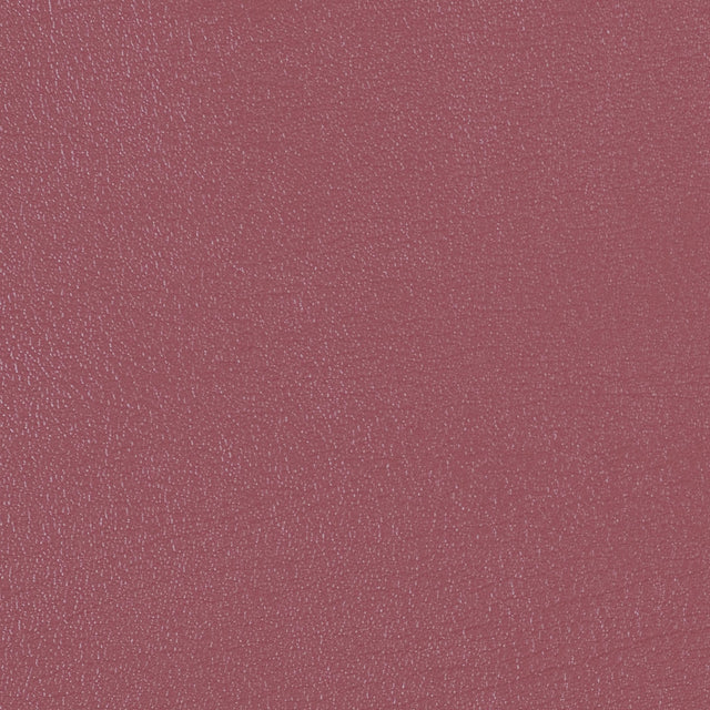 54" Morbern™ Duration Autumn (202) Vinyl Fabric Image 1