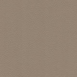 54" Morbern™ Extraordinaire Cream (105) Vinyl Fabric Image 1