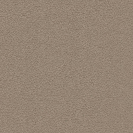 54" Morbern™ Extraordinaire Cream (105) Vinyl Fabric Image 1