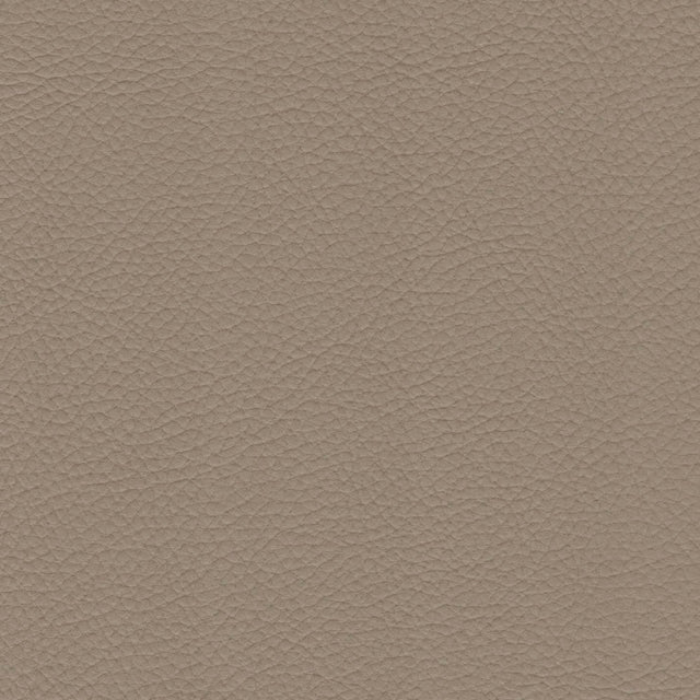 54" Morbern™ Extraordinaire Cream (105) Vinyl Fabric Image 1