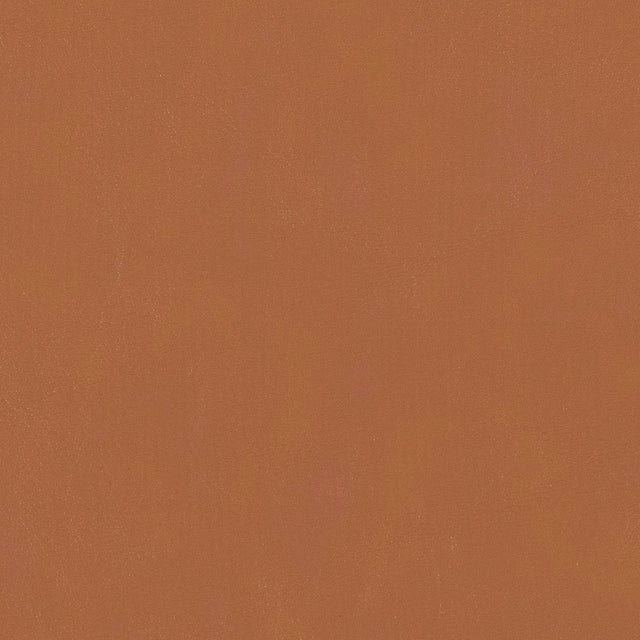 54" Morbern™ Hampton Fawn (052) Vinyl Fabric Image 1
