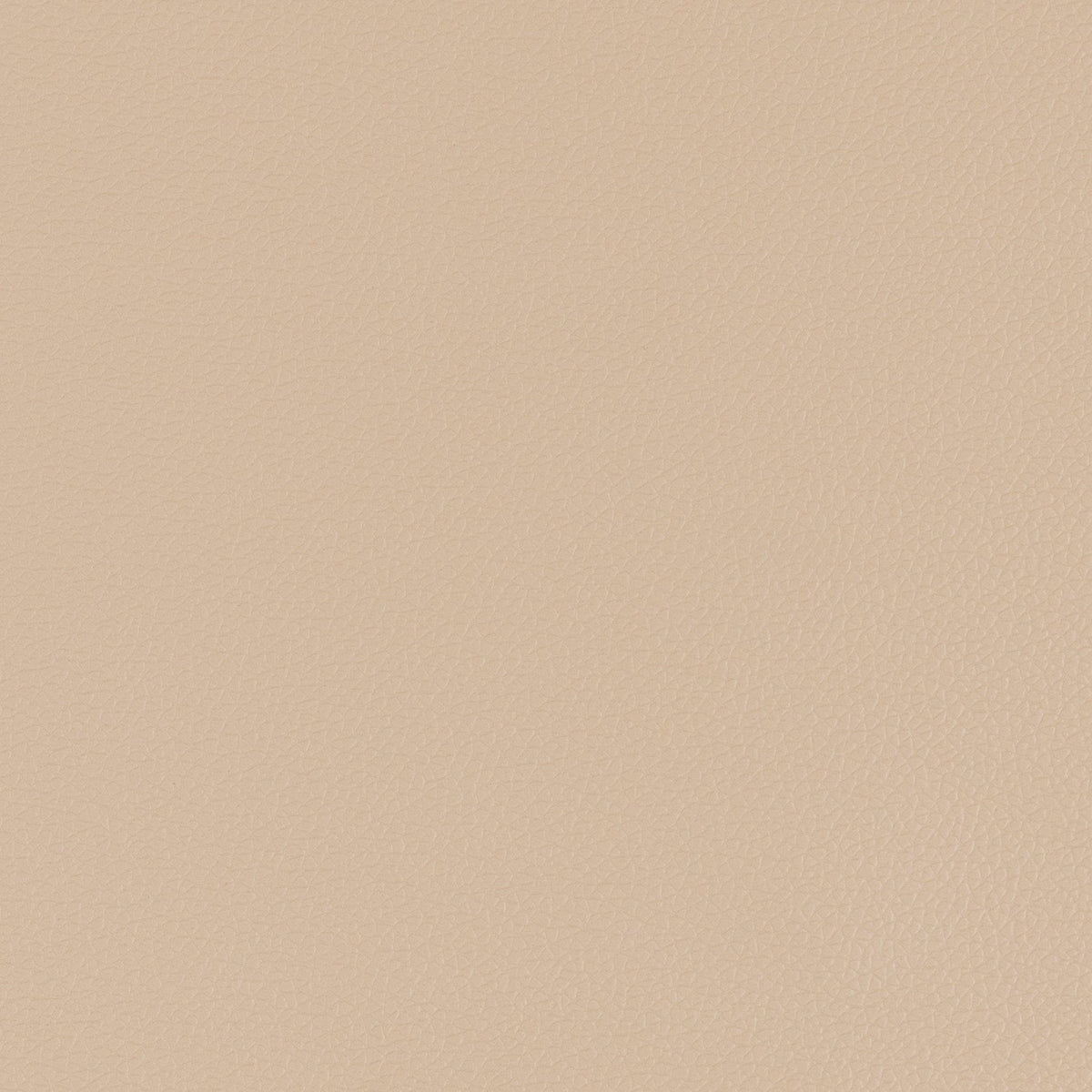 54" Morbern™ Longitude Lt. Cashmere (7693) Vinyl Fabric Image 1