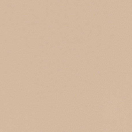 54" Morbern™ Longitude Lt. Cashmere (7693) Vinyl Fabric Image 1