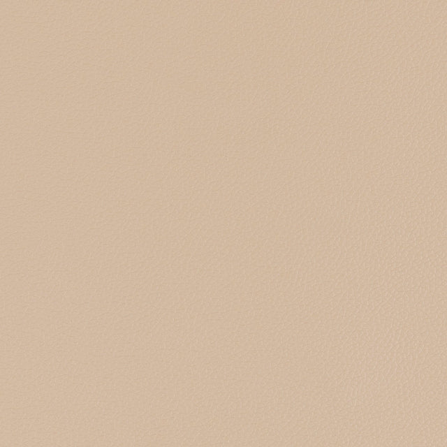 54" Morbern™ Longitude Lt. Cashmere (7693) Vinyl Fabric Image 1