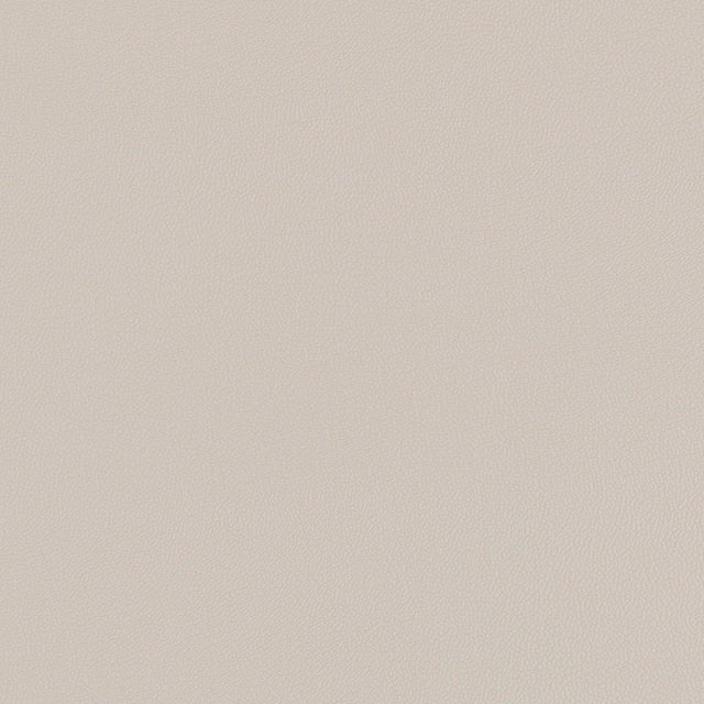54" Morbern™ Soho Lt. Stone (7526) Vinyl Fabric Image 1