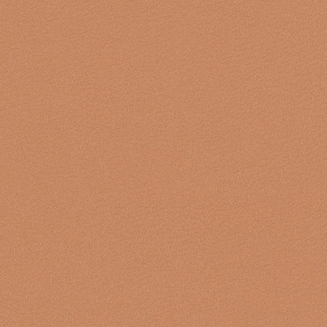 54" Morbern™ Vitality Daybreak (205) Vinyl Fabric Image 1