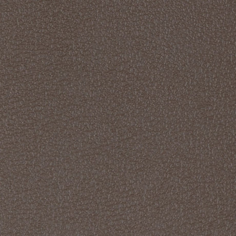 54" Morbern™ Vitality Henna (206) Vinyl Fabric Image 1