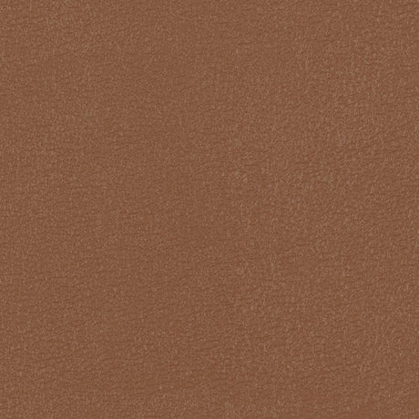54" Morbern™ Vitality Sienna (216) Vinyl Fabric Image 1