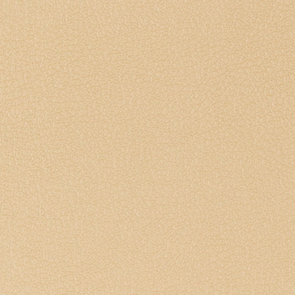 54" Morbern™ Vitality Straw (219) Vinyl Fabric Image 1