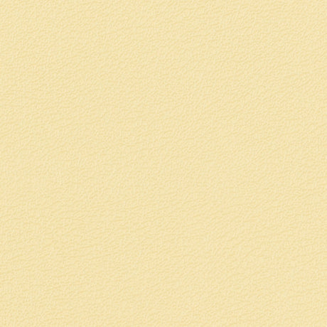 54" Morbern™ Vitality Suburb (220) Vinyl Fabric Image 1