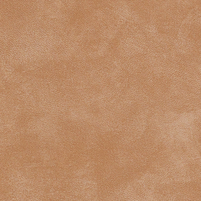 54" Morbern™ Yorktown Squash (202) Vinyl Fabric Image 1