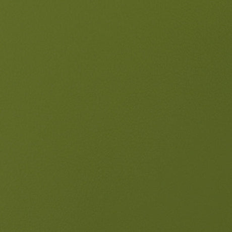 54" Nassimi™ Envision Kiwi (016) Faux Leather Fabric Image 1