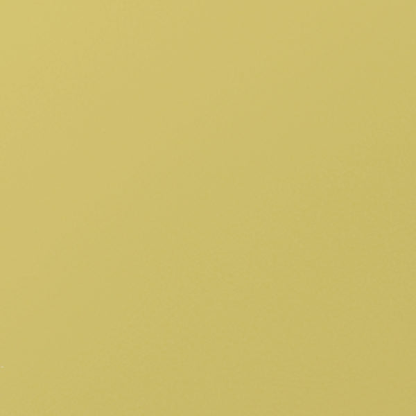 54" Nassimi™ Envision Polenta (027) Faux Leather Fabric Image 1