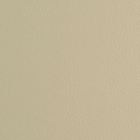 54" Nassimi™ Envision Rice (029) Faux Leather Fabric Image 1