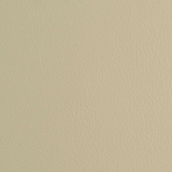 54" Nassimi™ Envision Rice (029) Faux Leather Fabric Image 1