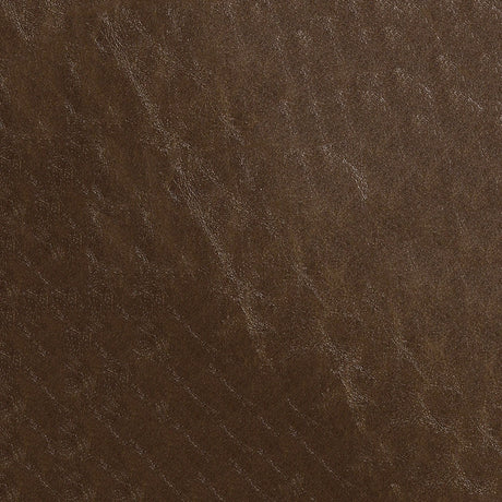 54" Nassimi Glaze Amber (001) Vinyl Fabric Image 1